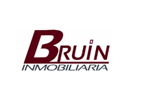 Bruin Inmobiliaria_logo