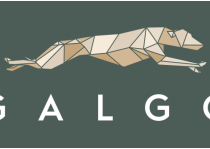 Galgo Real Estate_logo