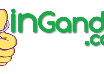 Ingandia_logo