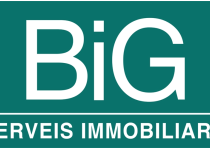 Big Serveis Immobiliaris_logo