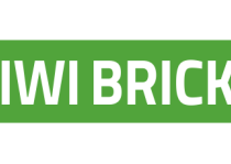 Kiwi Bricks_logo