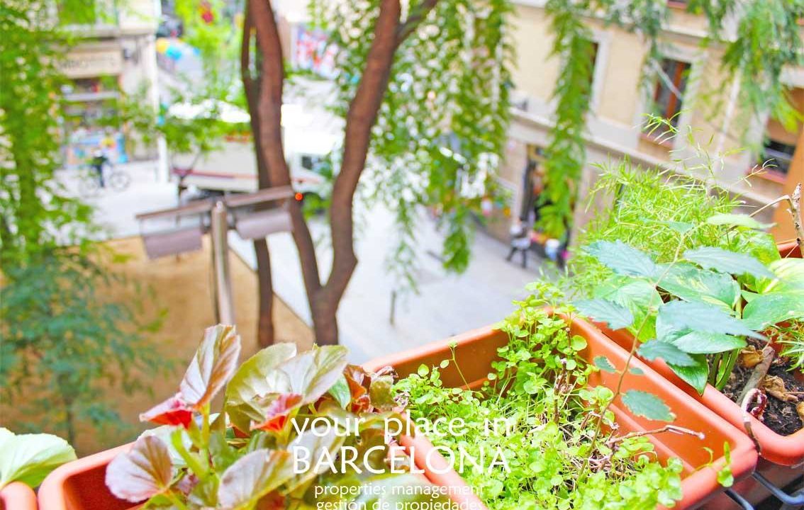 Piso Barcelona Ciutat Vella / El Raval Venta EMILI VENDRELL_9