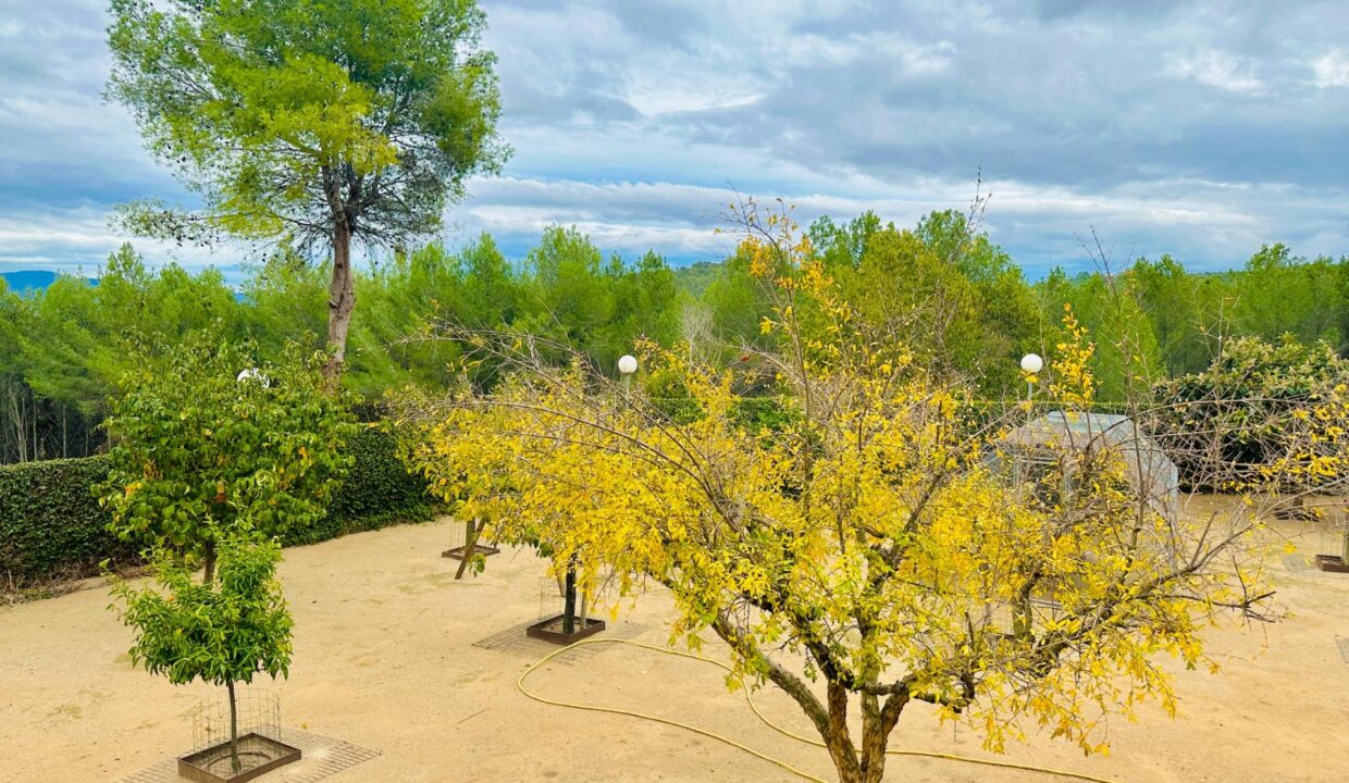 Oasis de Lujo en Sant Quirze del Vallès_5