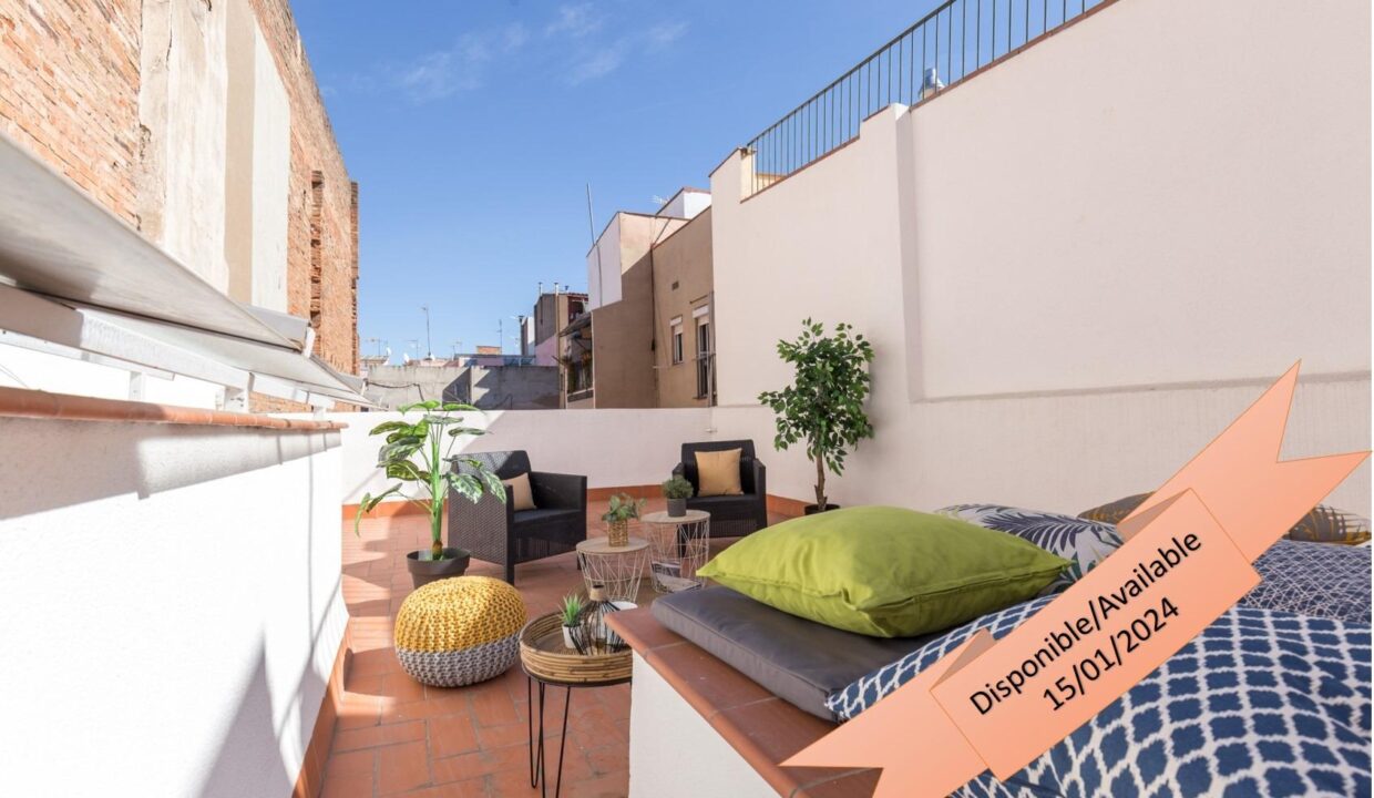 ATICO DE LUJO  CON TERRAZA PRIVADA EN BORNE