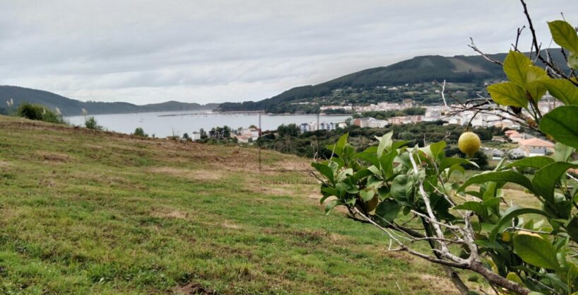 CASA CON VISTAS A LA RÍA DE CEDEIRA_1