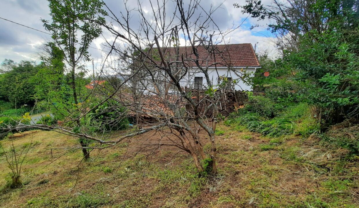 CASA UNIFAMILIAR PARA REFORMA CON PEQUEÑA FINCA_4