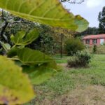 Casa con dos plantas en Sedes