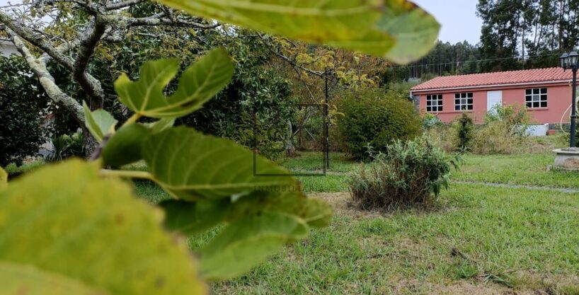 Casa con dos plantas en Sedes