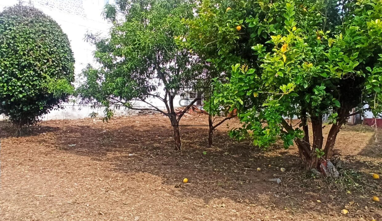 Edificio con finca en San Juan