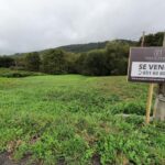 FINCA EN VENTA EN PRESA DEL REY