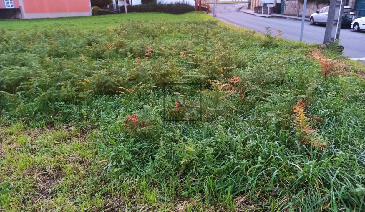 Terreno parcelado urbanizable en San Juan_3