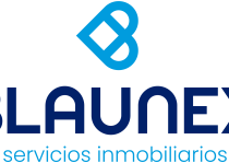 Blaunex_logo