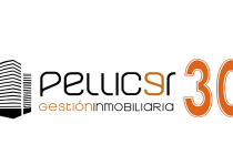 Pellicer Gestión Inmobiliaria_logo