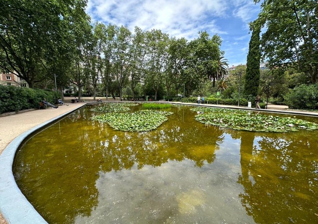 Precioso despacho en zona del turo park idela sede o para pequeñas patrimoniales_2