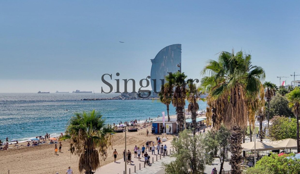 Singular vivienda en venta en La Barceloneta_1