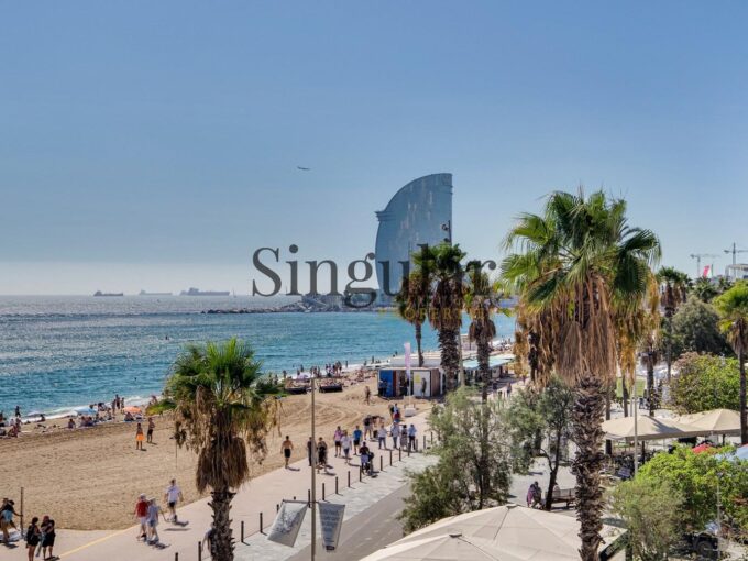 Singular vivienda en venta en La Barceloneta_1