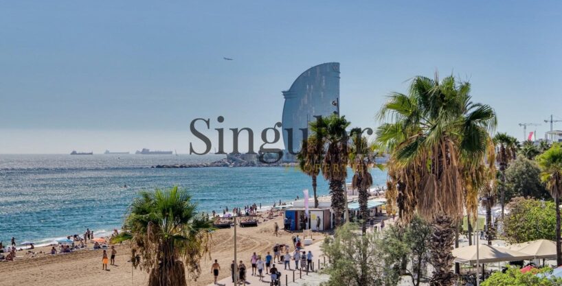 Singular vivienda en venta en La Barceloneta_1