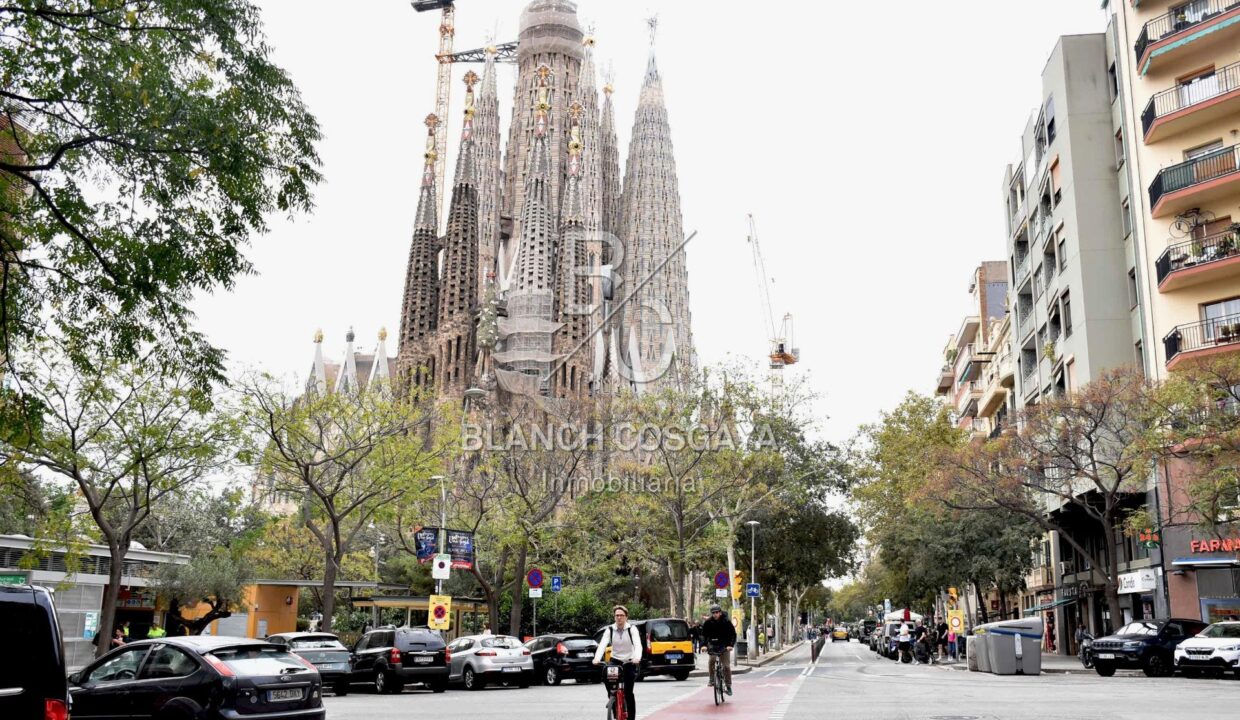 TOCANDO SAGRADA FAMILIA_1