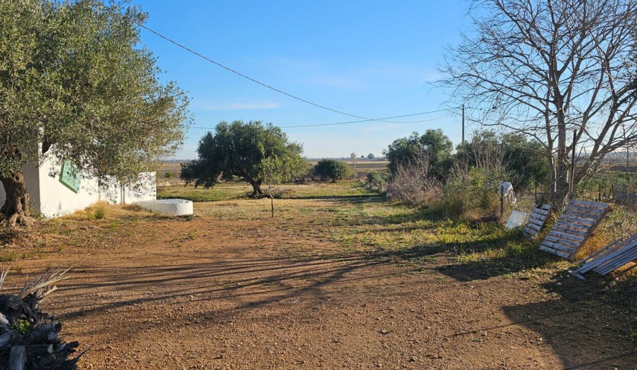 CASA CON TERRENO ENTRE LA RÀPITA Y AMPOSTA_3