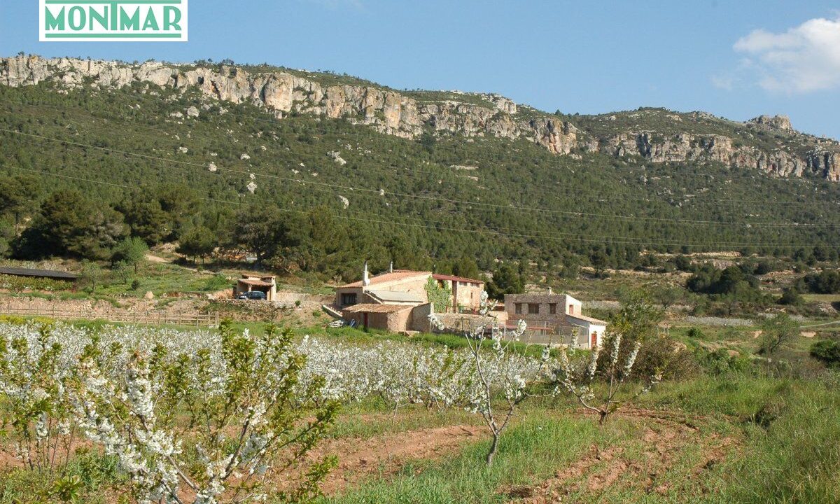 EN VENTA MASÍA CON 1.000 Ha. DE TERRENO EN VENTA_4