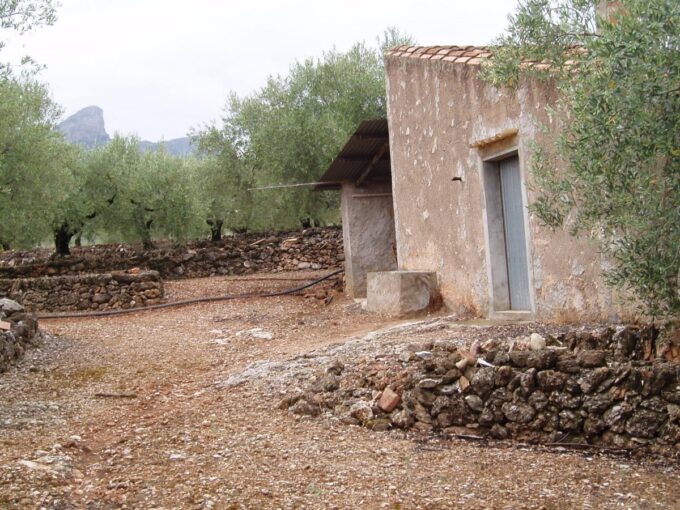 ESPLENDIDA FINCA DE REGADIO EN EL PERELLO._1