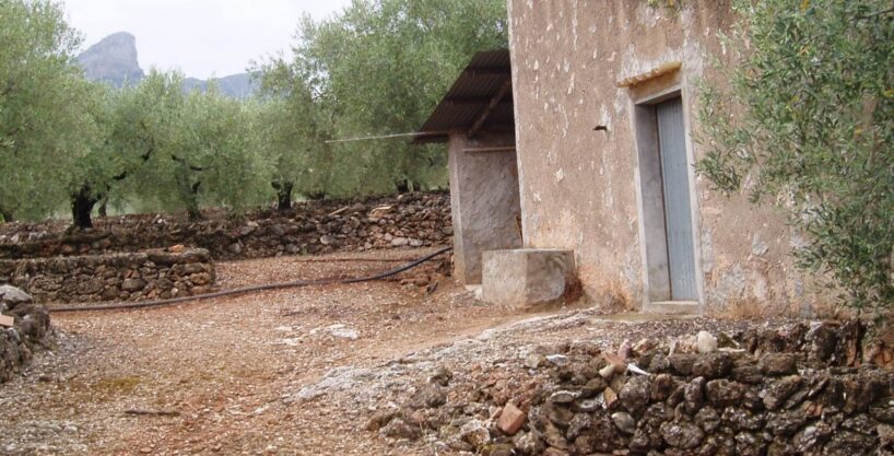 ESPLENDIDA FINCA DE REGADIO EN EL PERELLO._1