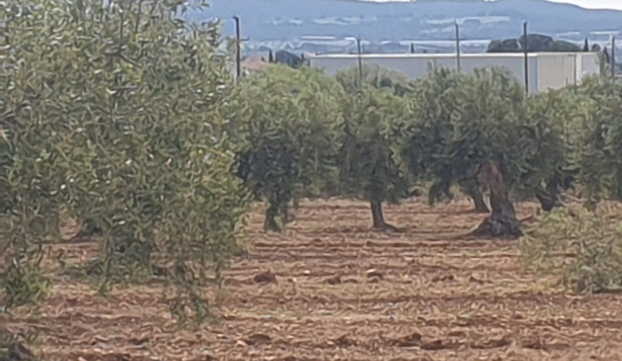 En venta Finca Rústica en Sant Jaume dels Domenys._1