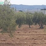 En venta Finca Rústica en Sant Jaume dels Domenys._1