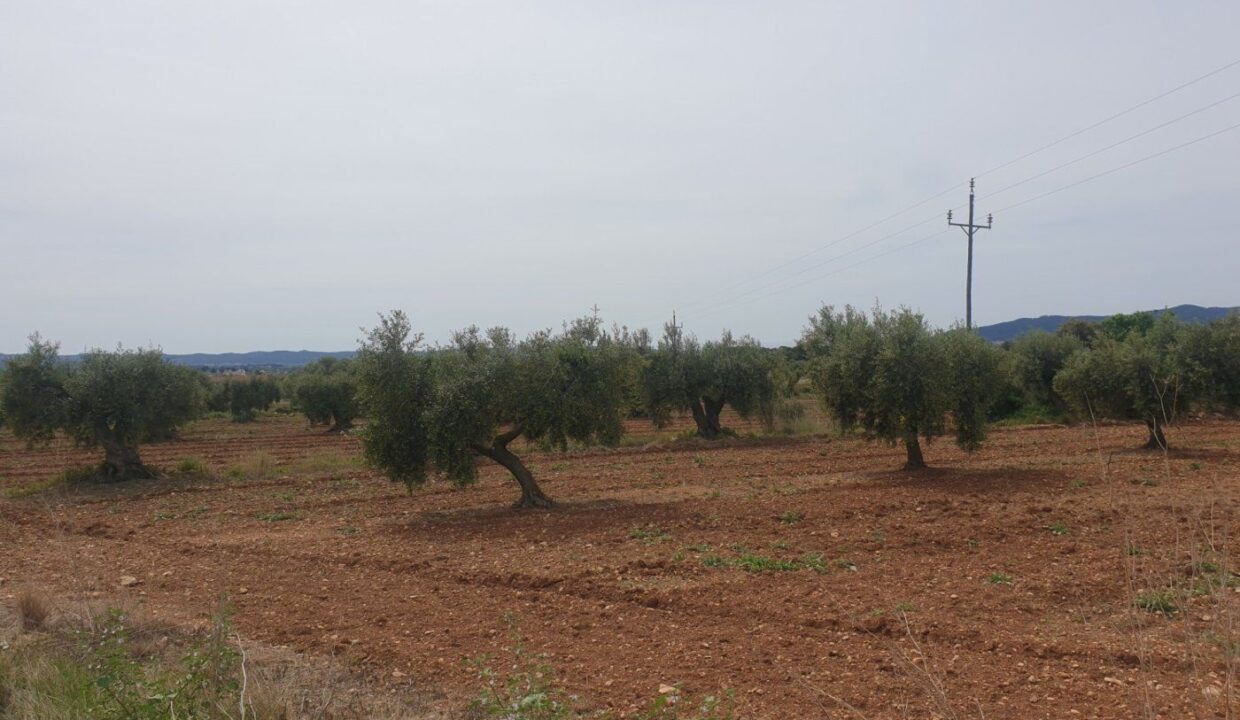 En venta Finca Rústica en Sant Jaume dels Domenys._3