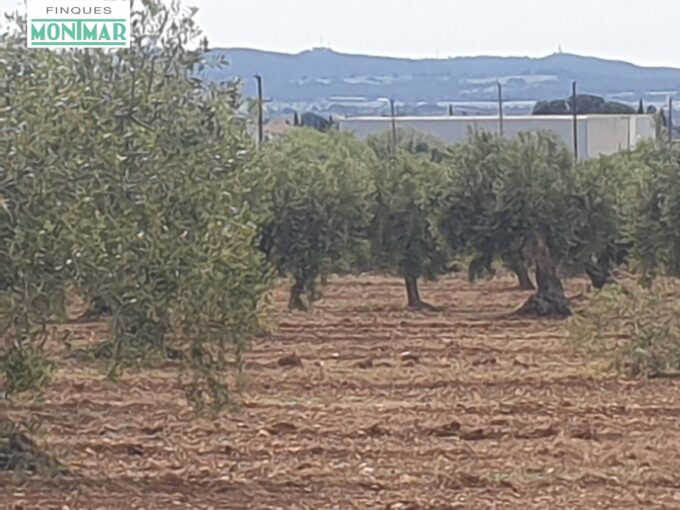 En venta Finca Rústica en Sant Jaume dels Domenys._1