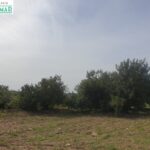 En venta Finca Rústica en Secuita de 5