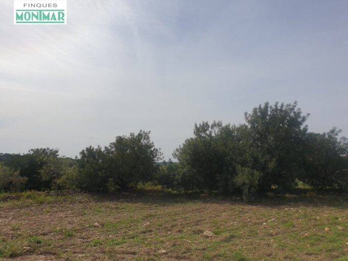 En venta Finca Rústica en Secuita de 5