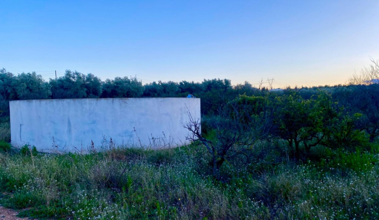 Encantador terreno con agua y luz de 1