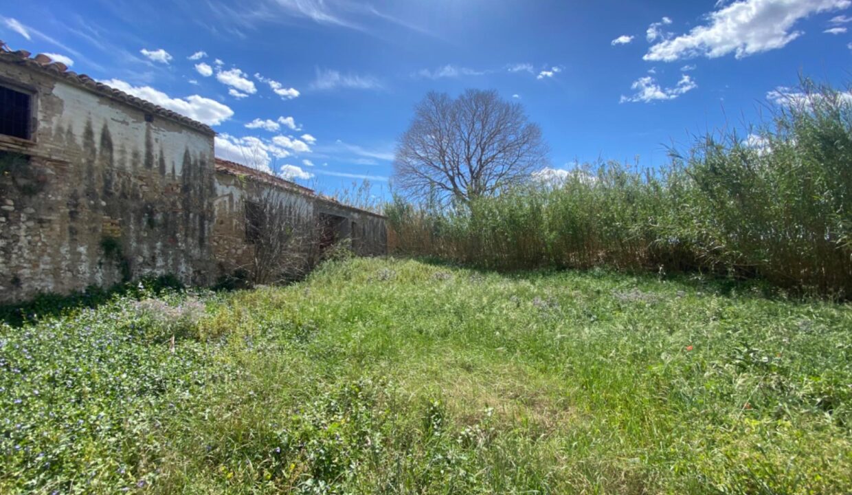 Estupenda finca para rehabilitar a menos de 1km de Tortosa_2