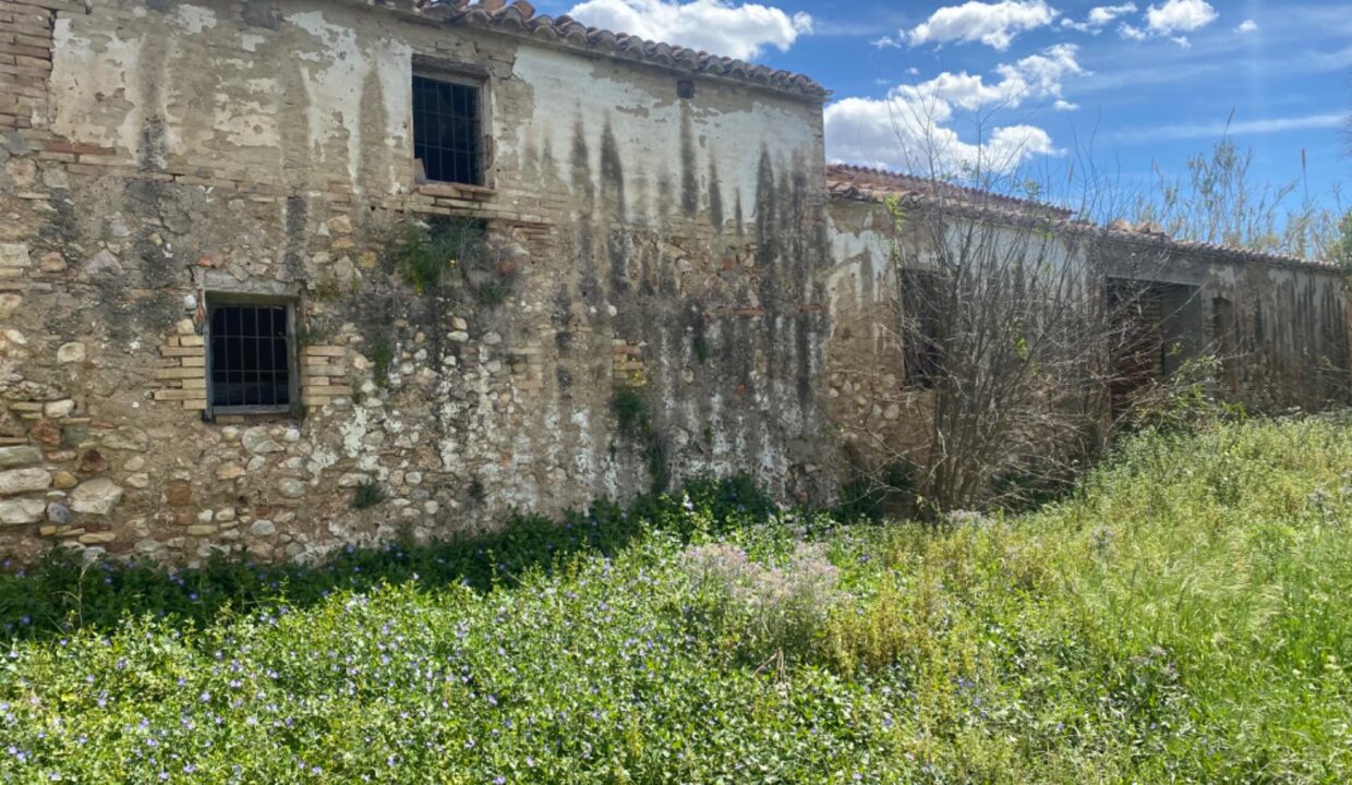 Estupenda finca para rehabilitar a menos de 1km de Tortosa_5