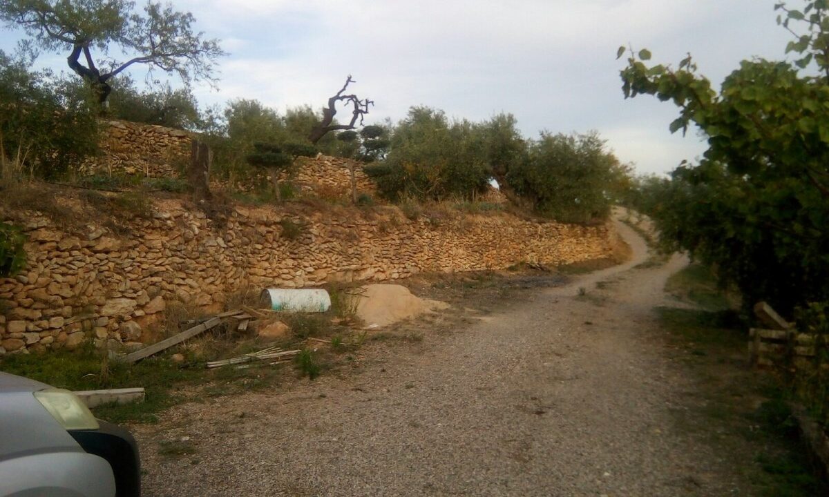 FINCA AGRICOLA DE REGADIO CON DOS MASIAS DE NUEVA CONSTRUCCION EN PARAJE SINGULAR - DARMOS._3