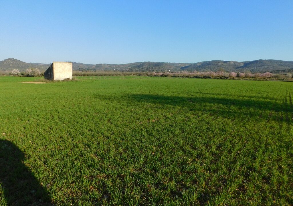 FINCA CON GRANJAS PORCINAS EN TERMINO DE GODALL_2