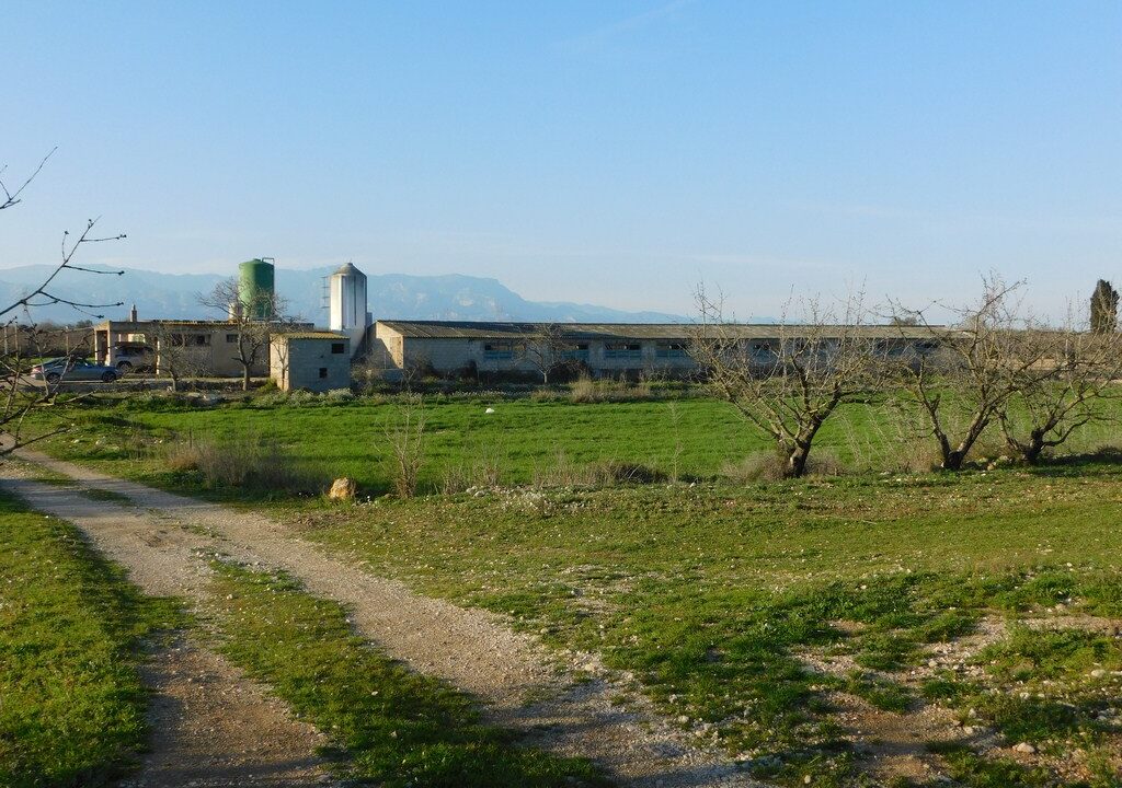 FINCA CON GRANJAS PORCINAS EN TERMINO DE GODALL_1