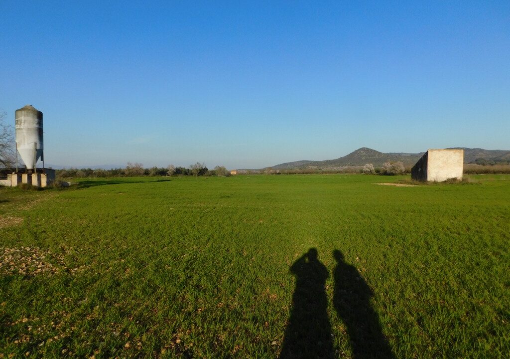 FINCA CON GRANJAS PORCINAS EN TERMINO DE GODALL_3