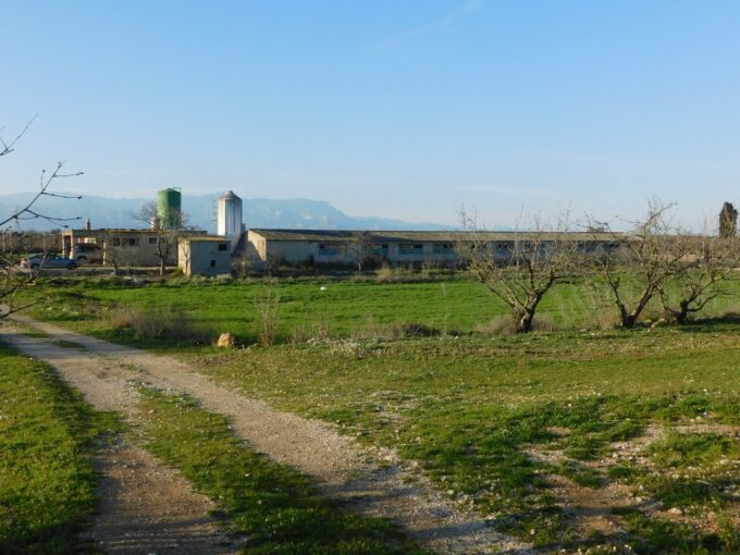 FINCA CON GRANJAS PORCINAS EN TERMINO DE GODALL_1