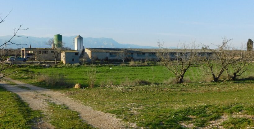 FINCA CON GRANJAS PORCINAS EN TERMINO DE GODALL_1