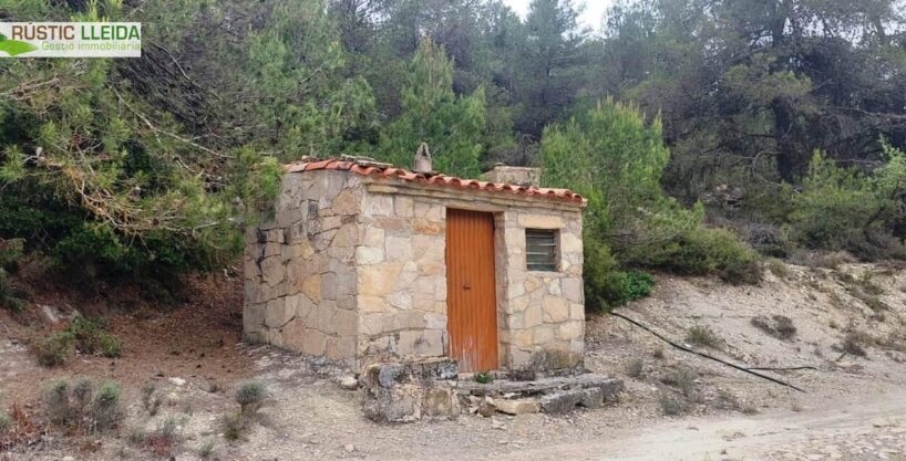 FINCA DE 4 HA. (2 HA. DE CULTIVO Y 2 HA. DE BOSQUE) EN SANTA COLOMA DE QUERALT._1