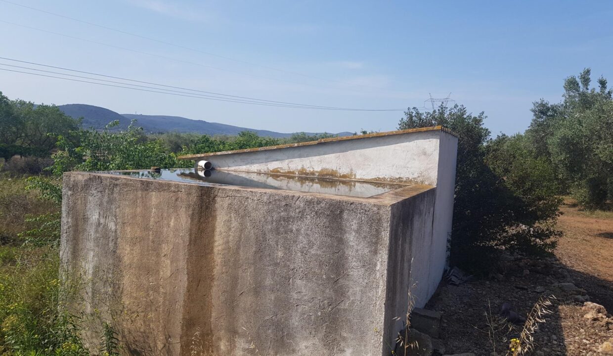 FINCA EN LA GALERA CON AGUA Y CASA DE  15m2_2