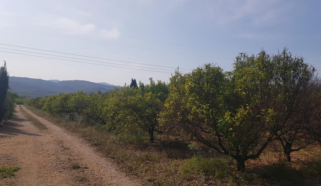 FINCA EN LA GALERA CON AGUA Y CASA DE  15m2_1