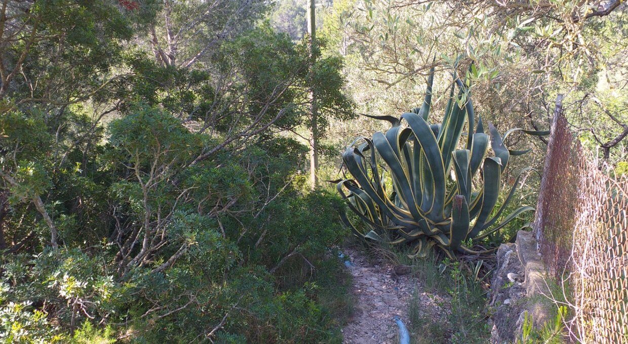 FINCA EN LA PTD SAN BERNABE CON AGUA I LUZ_2