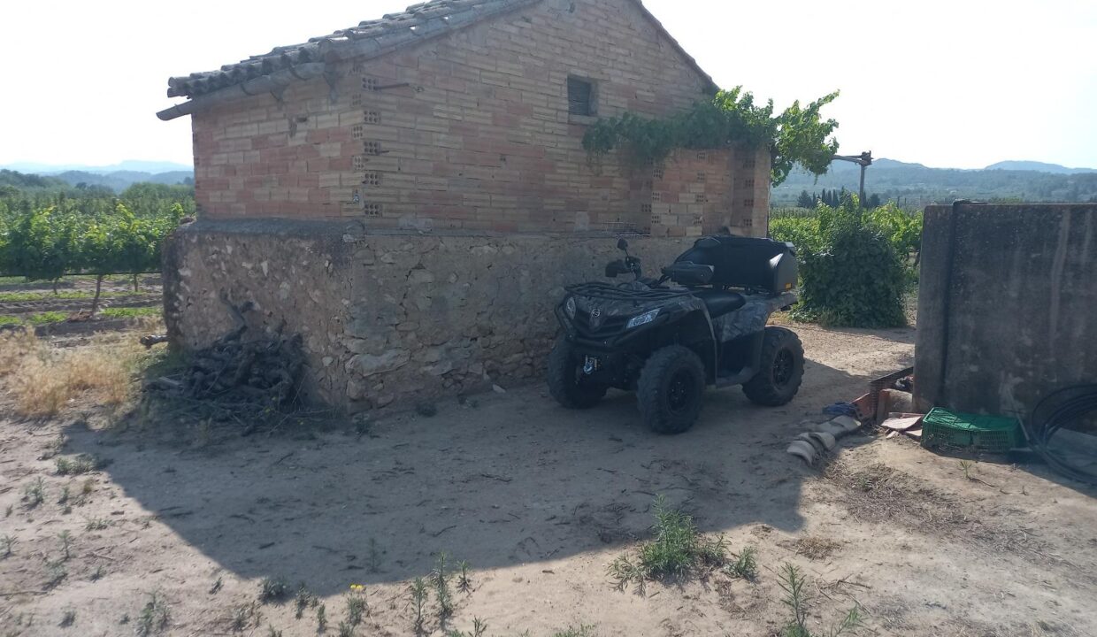 FINCA RUSTICA EN GINESTAR A ORILLAS DEL RIO EBRO_1