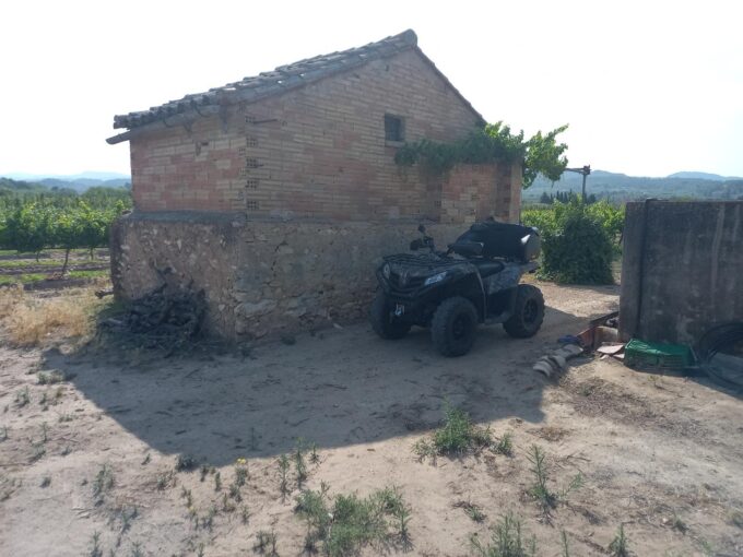 FINCA RUSTICA EN GINESTAR A ORILLAS DEL RIO EBRO_1