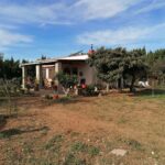 FINCA RUSTICA EN GODALL CON CASA