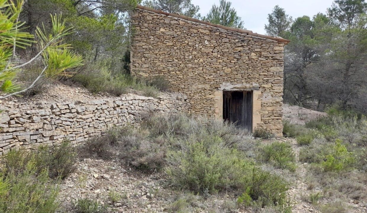 FINCA RUSTICA EN MORA D´EBRE CON MASIA DE PIEDRA SECA_1