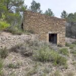 FINCA RUSTICA EN MORA D´EBRE CON MASIA DE PIEDRA SECA_1